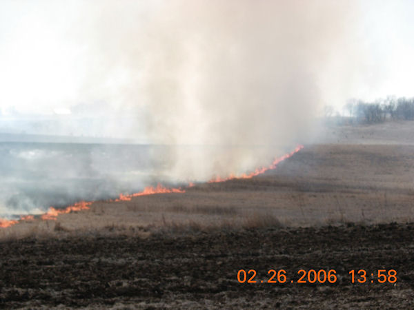 Grass Fires