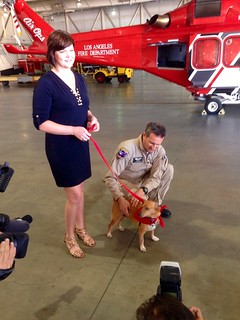 Lucky the Dog Reunites with LAFD Helicopter Rescuers & Receives a Surprise Treat